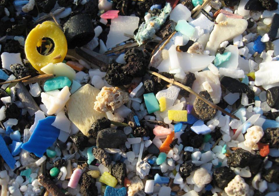 Plastic Pollution – Preventing an incurable disease