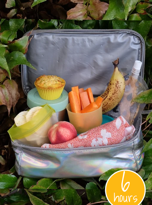 Project image card - click to select this 6 hour project. Image shows a lunch box with fruit and snacks in reusable packaging.