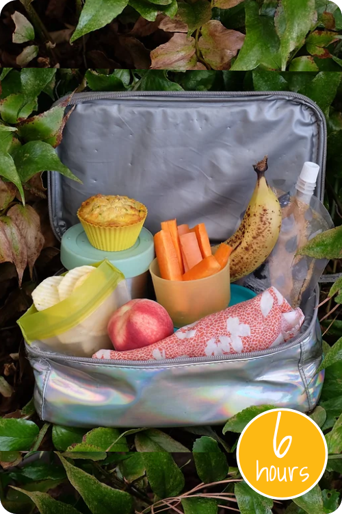 Project image card - click to select this 6 hour project. Image shows a lunch box with fruit and snacks in reusable packaging.