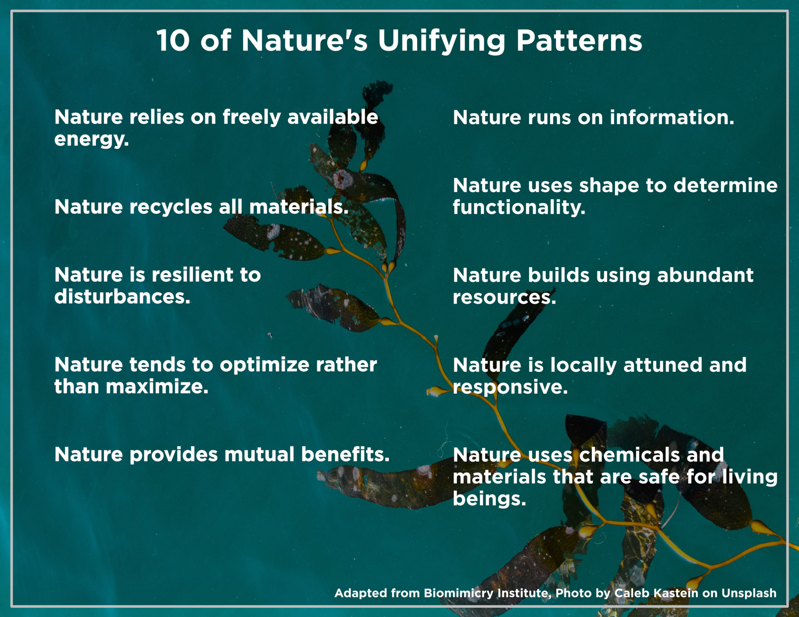 Visual explains 10 unifying patterns of nature
