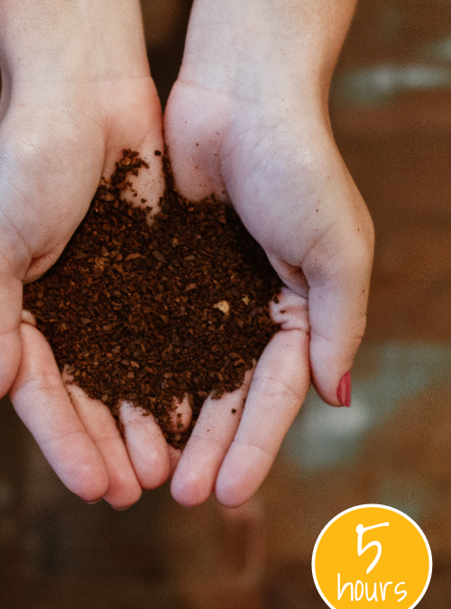 Project image card - click to select this 5 hour project. Image shows hands cupping a small amount of soil