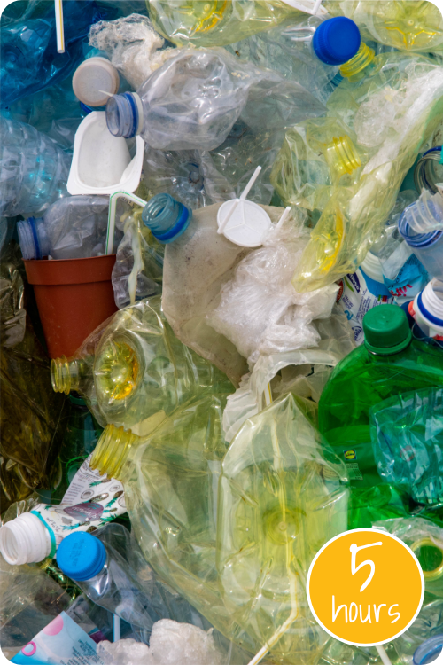 Do a Single-Use-Plastic Home Waste Audit