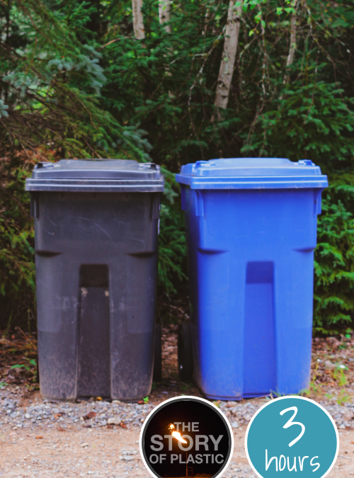Project image card - click to select this 3 hour project. Image shows two trash cans side by side, one black and one blue.