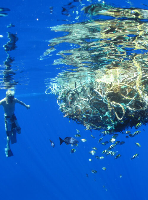 Underwater photo of a man swimming next to a ghost net