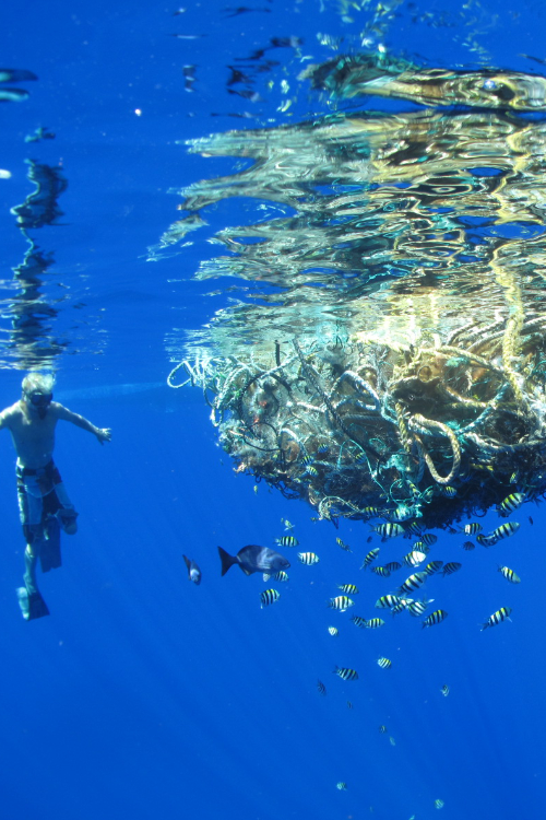 Underwater photo of a man swimming next to a ghost net