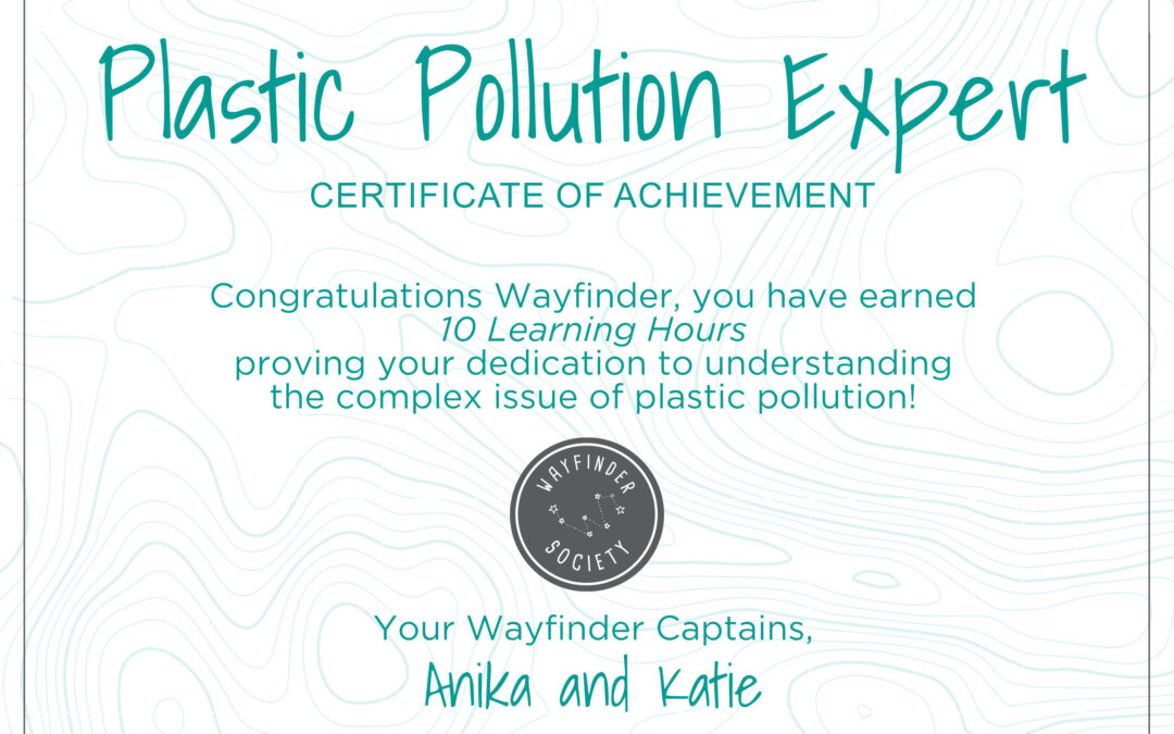 Plastic Pollution Expert Certificate of Achievement