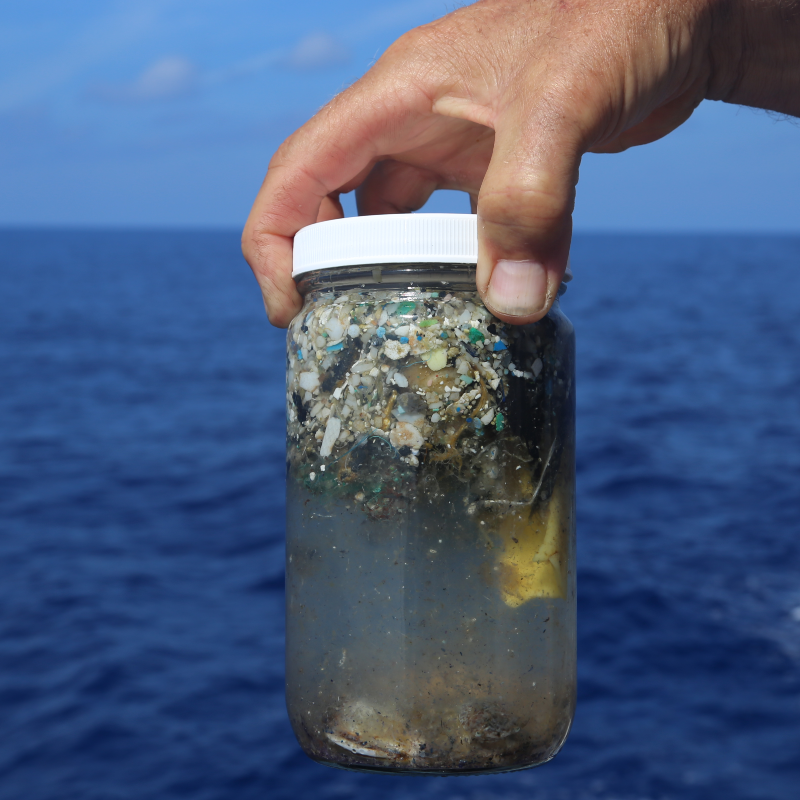 A jar containing an ocean water sample including microplastics.