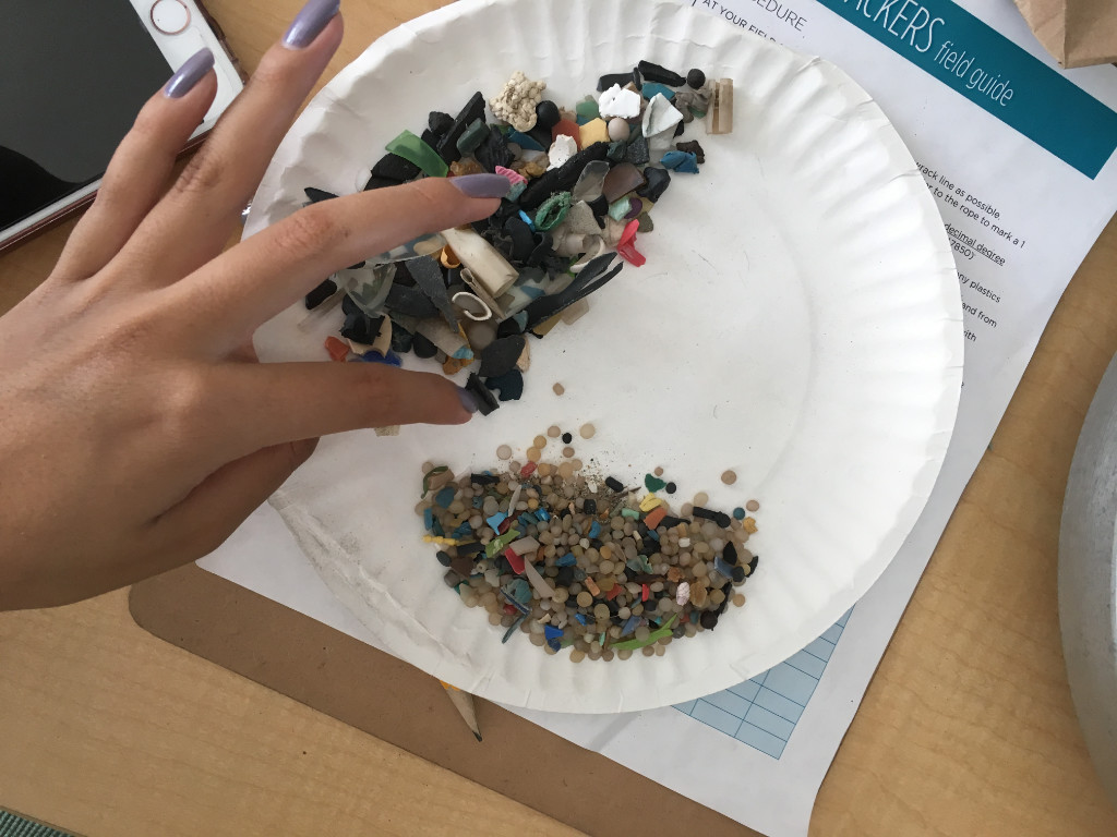 A paper plate with hundreds of small plastic pollution pieces and someone's hand is touching the plastic.