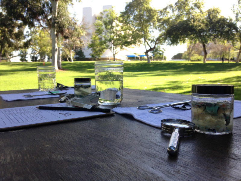 Clipboards, educational supplies, and ocean water samples on a table in a park