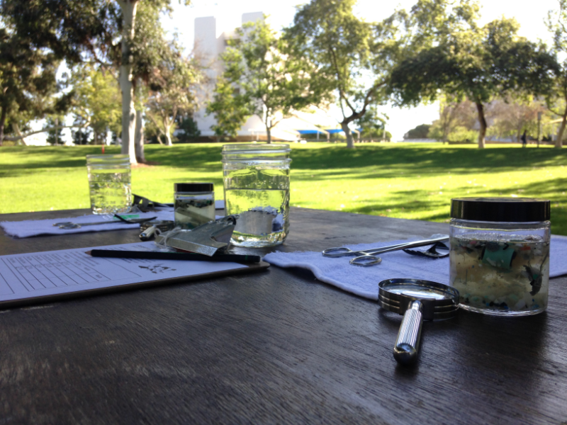 Clipboards, educational supplies, and ocean water samples on a table in a park.