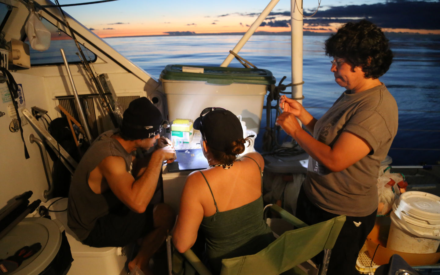 Scientist on boat at sea take study fish samples at sunset.