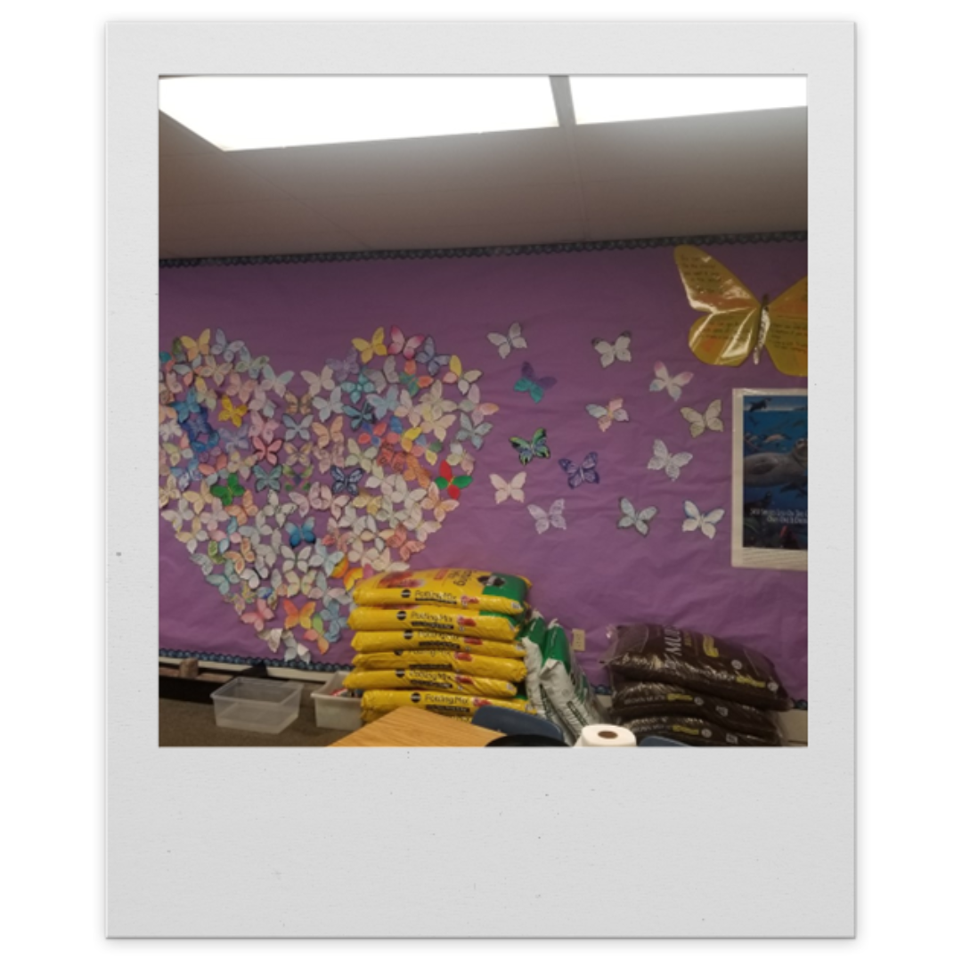 School activity display with butterflies showing students impact on family, friends, school and environment.