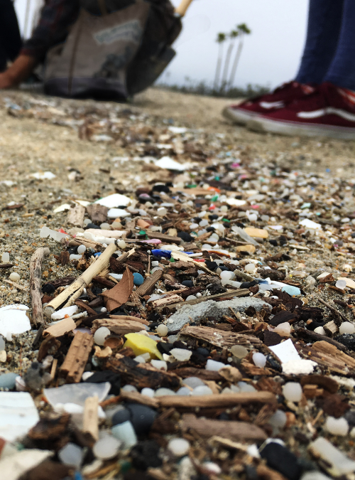 Closeup image of plastic pollution in woody debris of a beach wrackline.