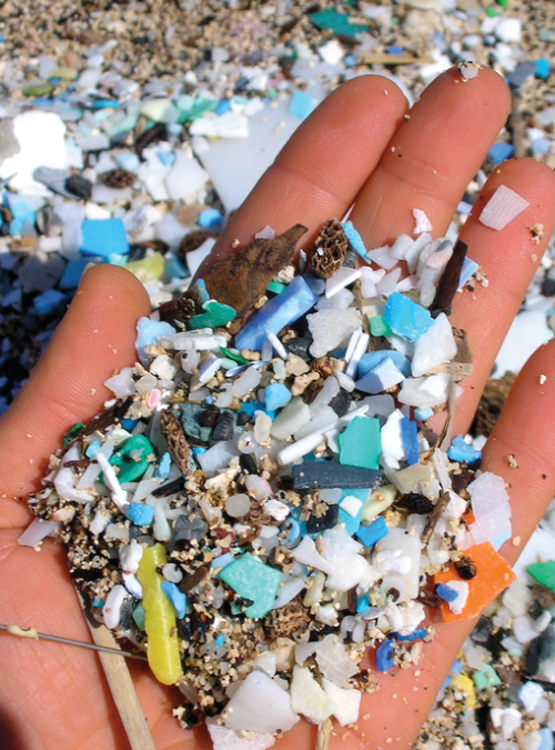 Plastic Pollution Basics