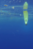 Underwater view of plastic pollution in the ocean.