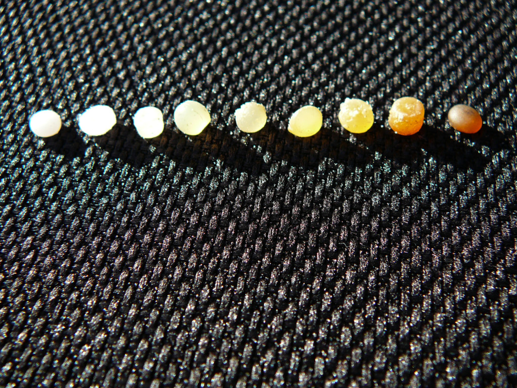 Preproduction plastic pellets arranged in a line and showing increased yellowing from adsorbed pollutants and oils