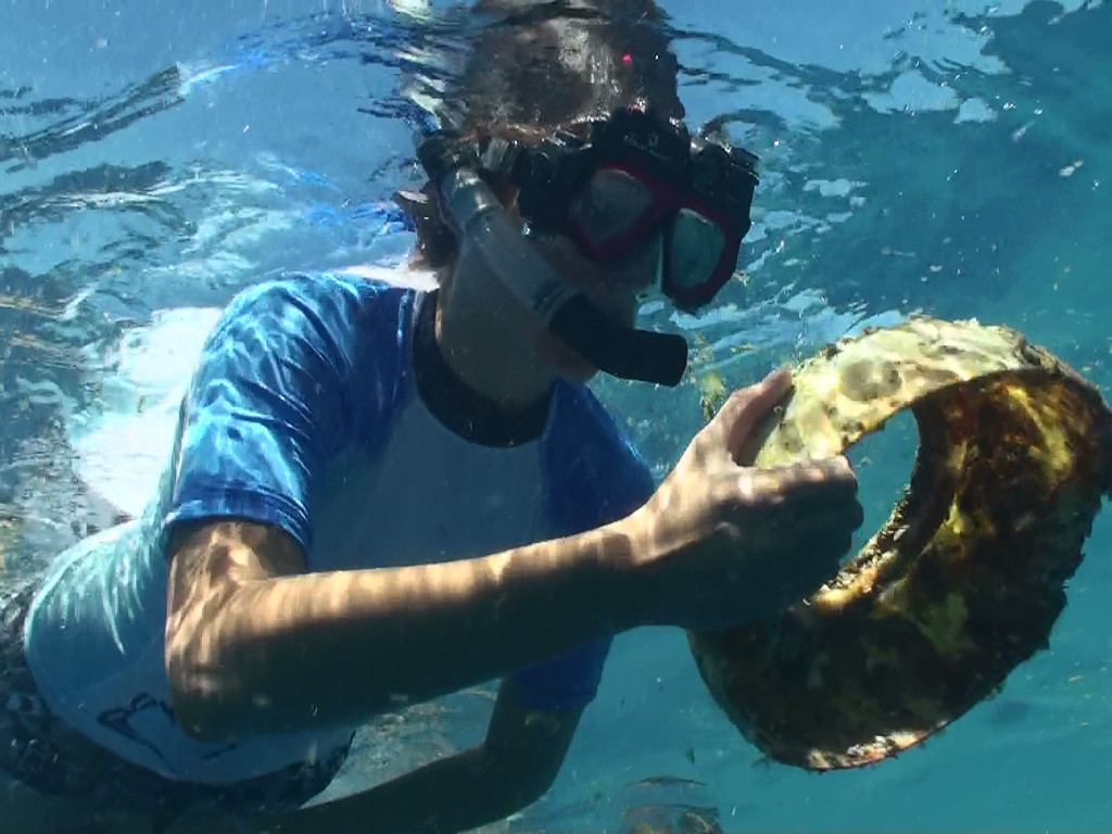 Expedition crew member observes plastic debris underwater.
