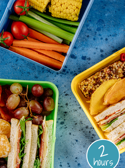 Project image card - click to select this 2 hour project. Image shows lunch containers with unpackaged sandwich, veggies, and fruit