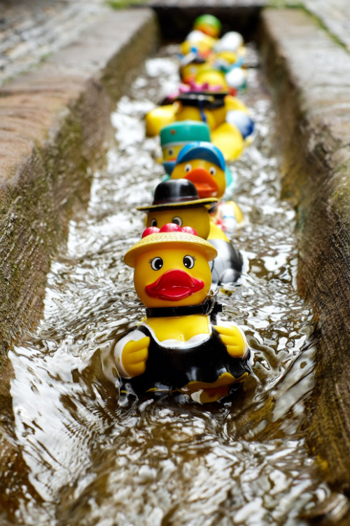 Lesson image card - Rubber ducks in a gutter