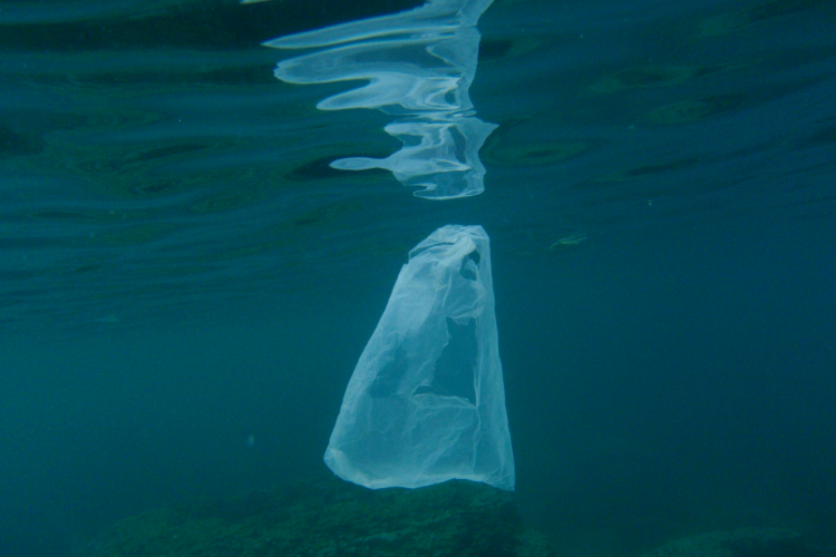 Guide image tile- plastic bag floating under water