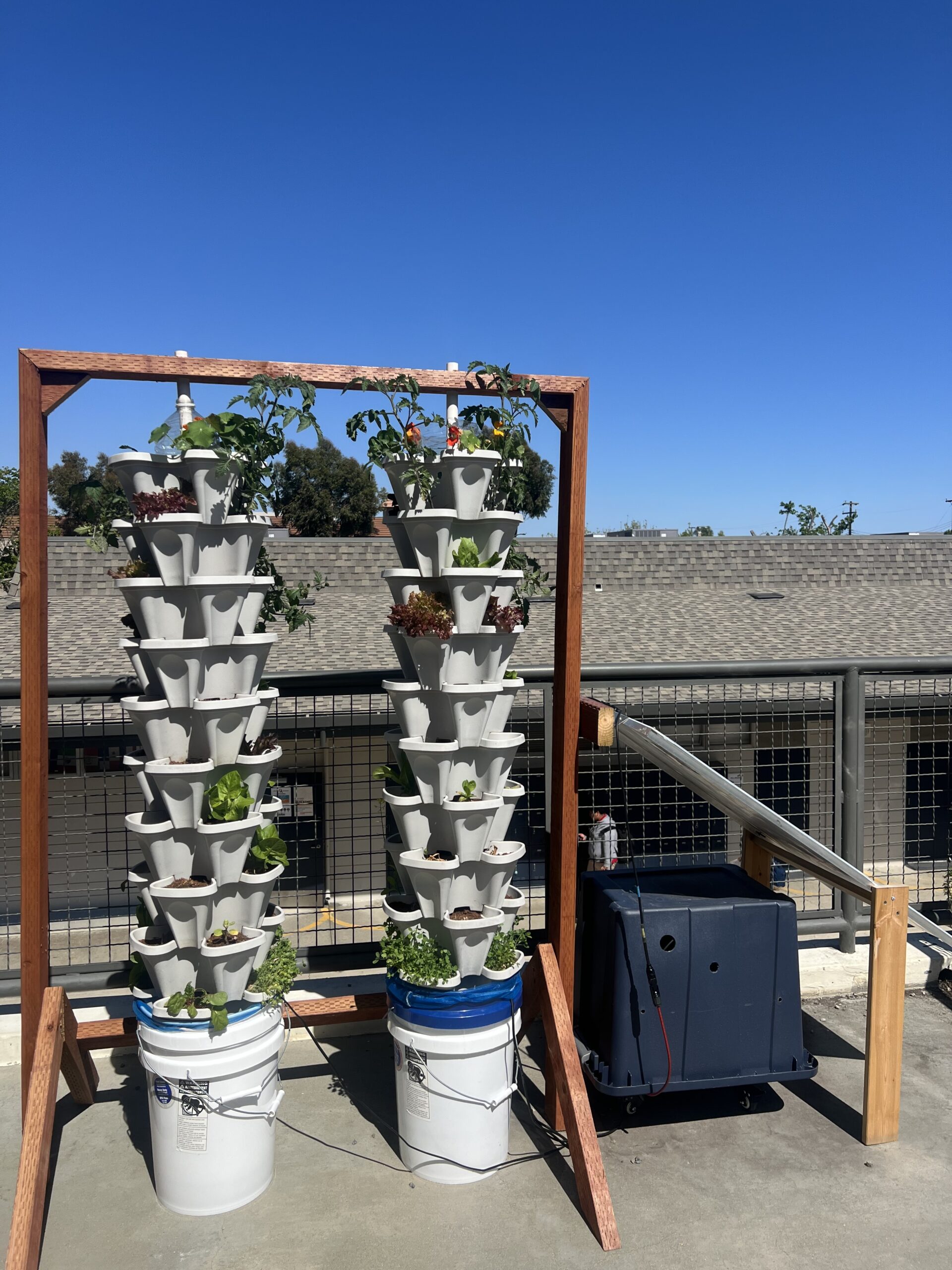 vertical school garden