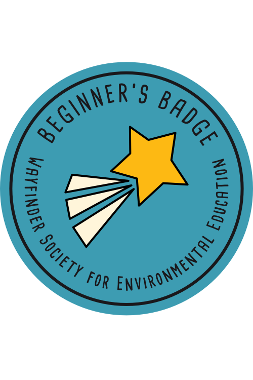 Beginner's Badge - Earn by completing the 5 Actions listed before.