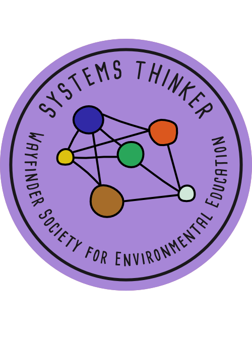 Systems Thinker Badge