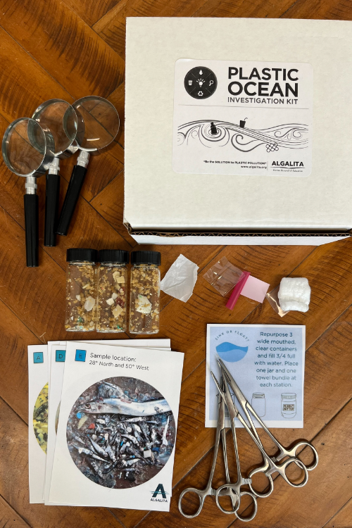 DSI-tile-lesson-2025 Contents of the Plastic Ocean Kit
