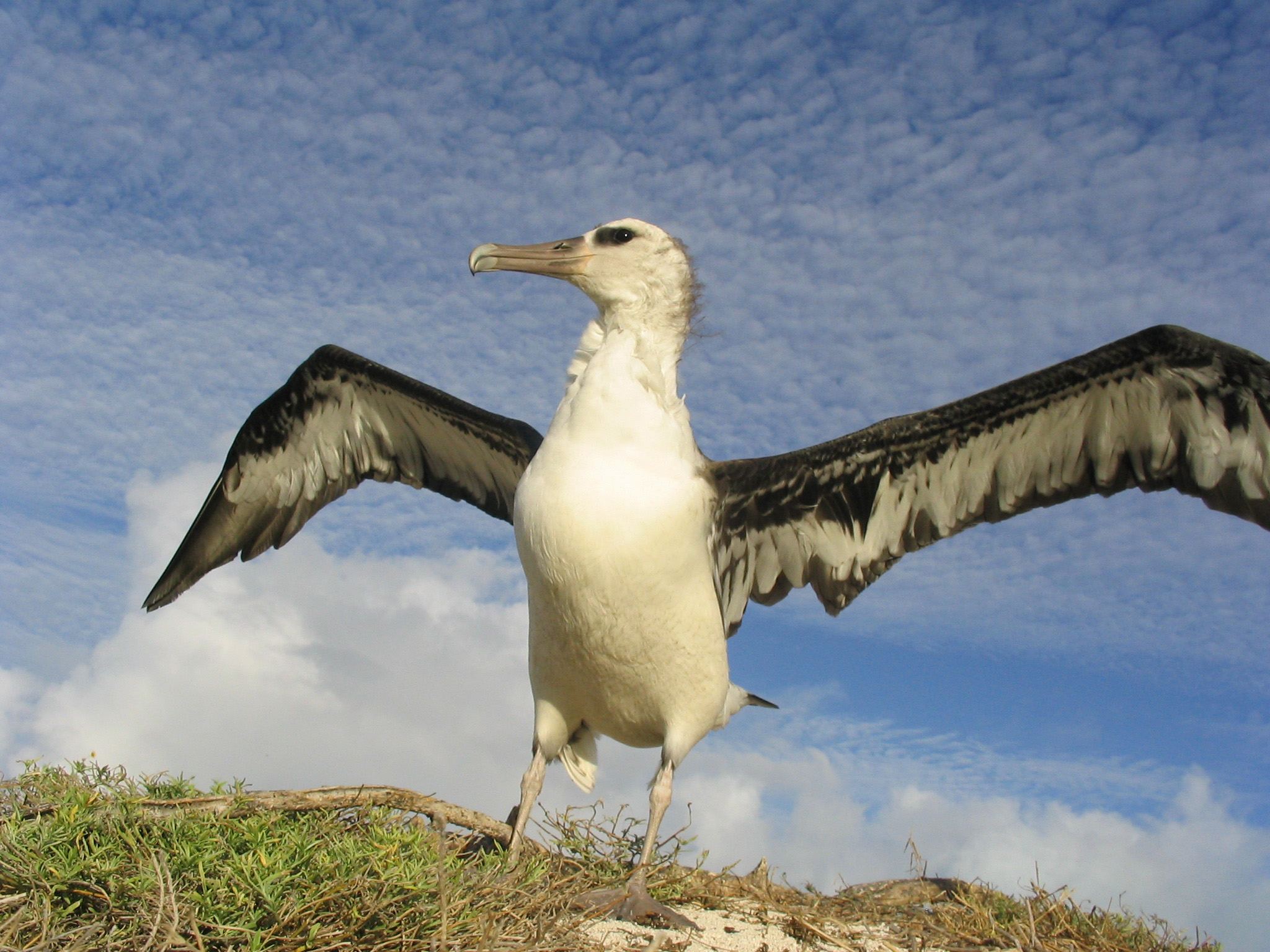 Collection of plastic waste items in a colorful mural
