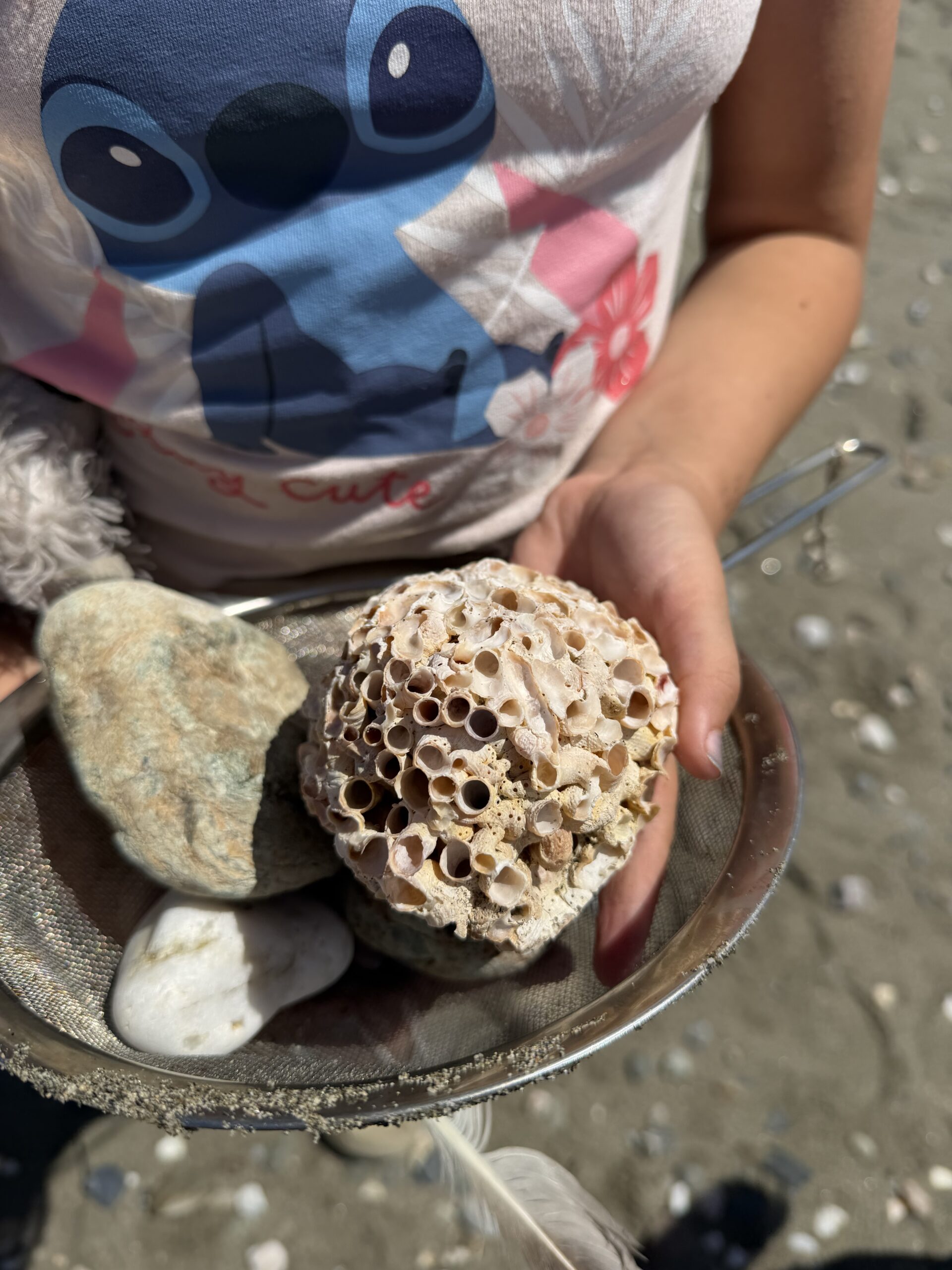 Place to Place: Building Connection Between Long Beach and Catalina